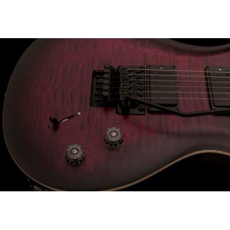 PRS DW CE 24 “Floyd” Limited Edition